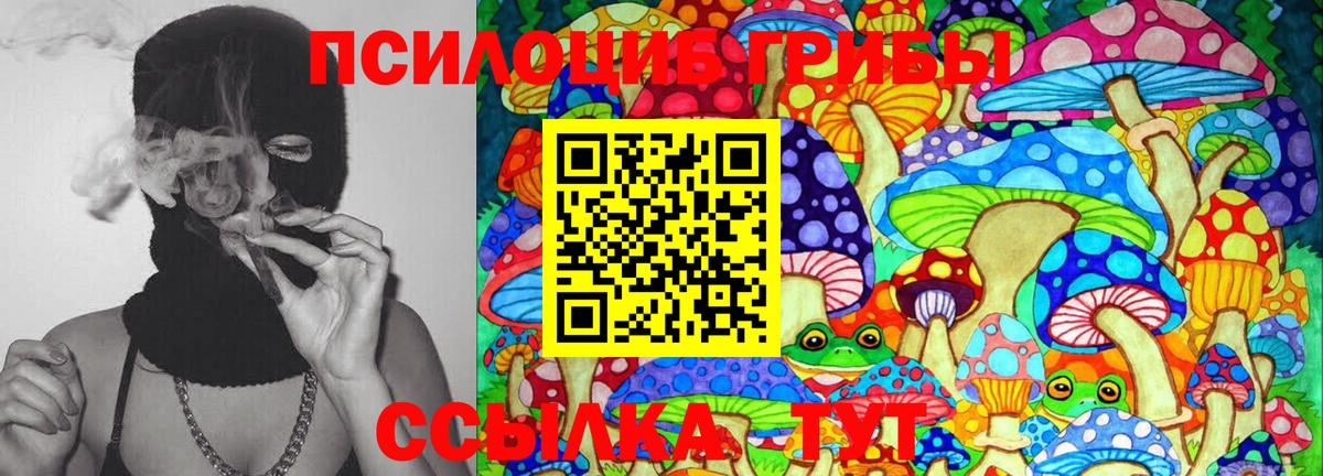 Щёлково  наркотики  Вход с VPN  Псилоцибиновые грибы мицелий 