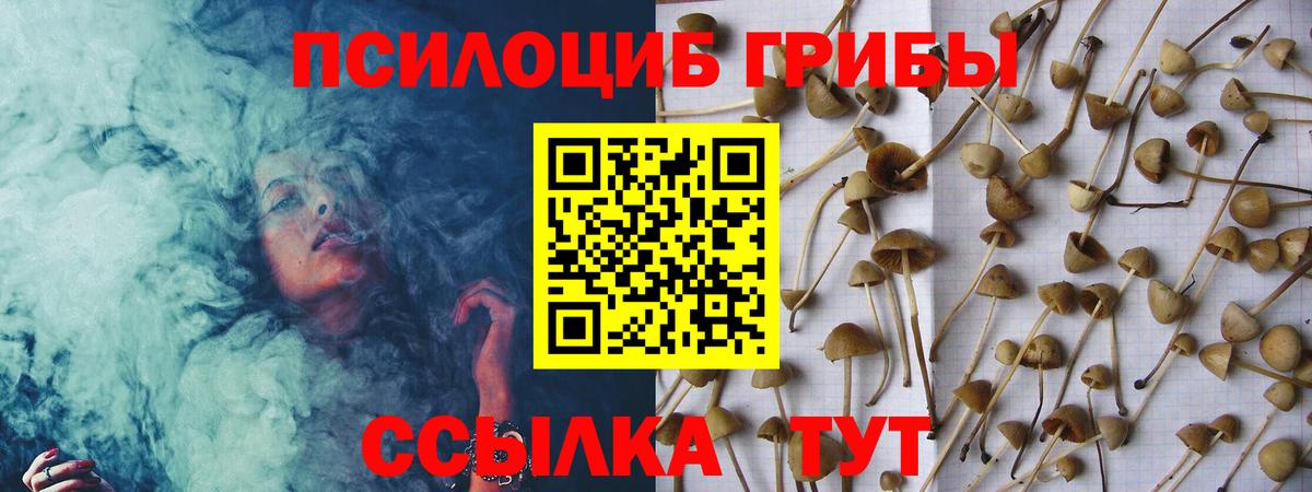 Псилоцибиновые грибы Psilocybine cubensis Щёлково