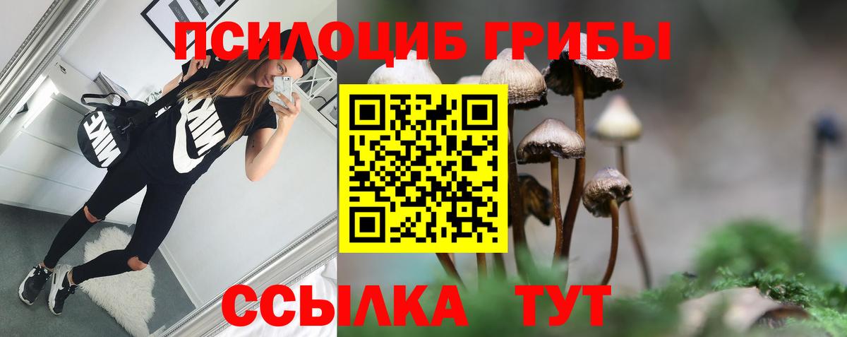 КОКАИН  ГАШИШ  ЭКСТАЗИ  МЕФ кристаллы  Щёлково  Гашиш  Каннабис  Вход с VPN 